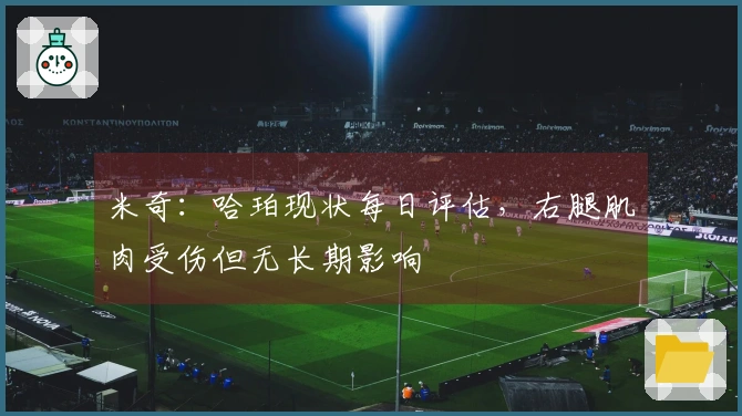 米奇：哈珀现状每日评估，右腿肌肉受伤但无长期影响