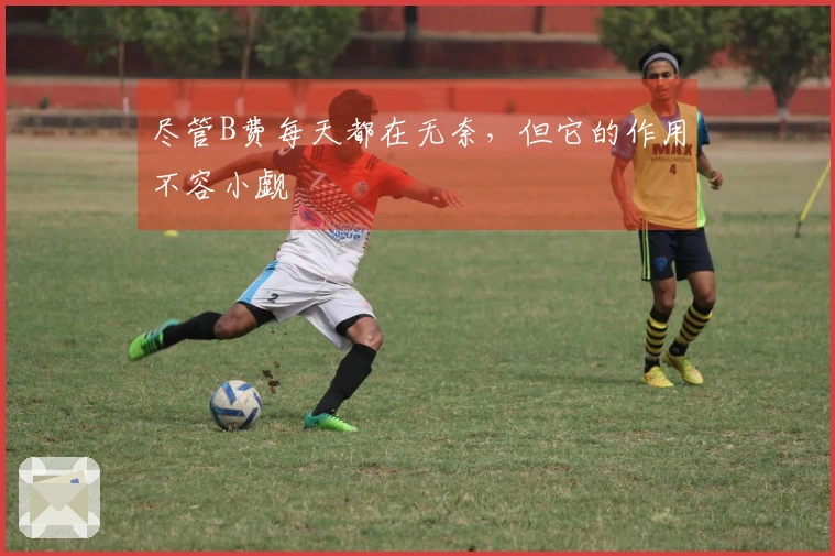 尽管B费每天都在无奈，但它的作用不容小觑