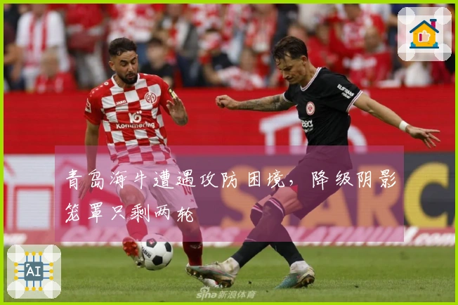 青岛海牛遭遇攻防困境，降级阴影笼罩只剩两轮