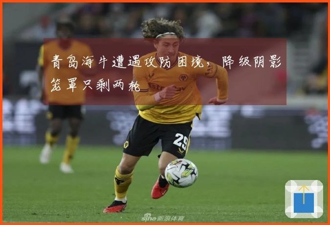 青岛海牛遭遇攻防困境，降级阴影笼罩只剩两轮