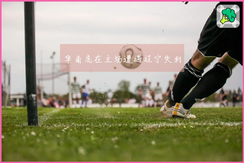 华南虎在主场遭遇辽宁失利