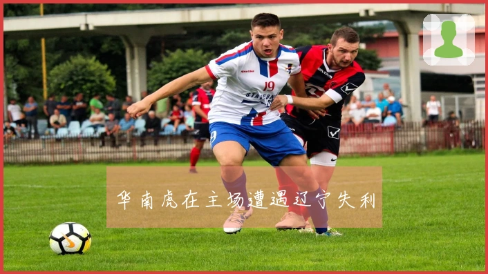 华南虎在主场遭遇辽宁失利